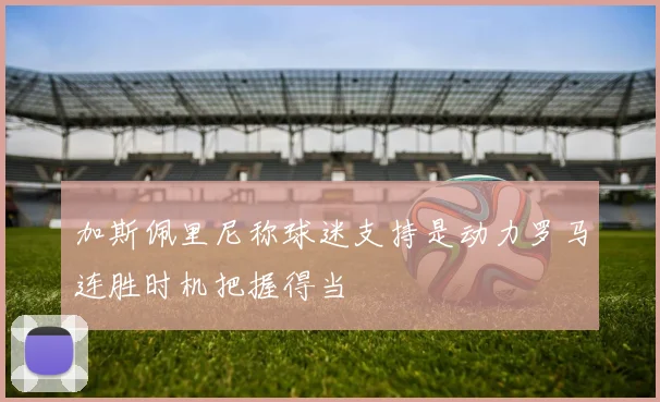 加斯佩里尼称球迷支持是动力罗马连胜时机把握得当